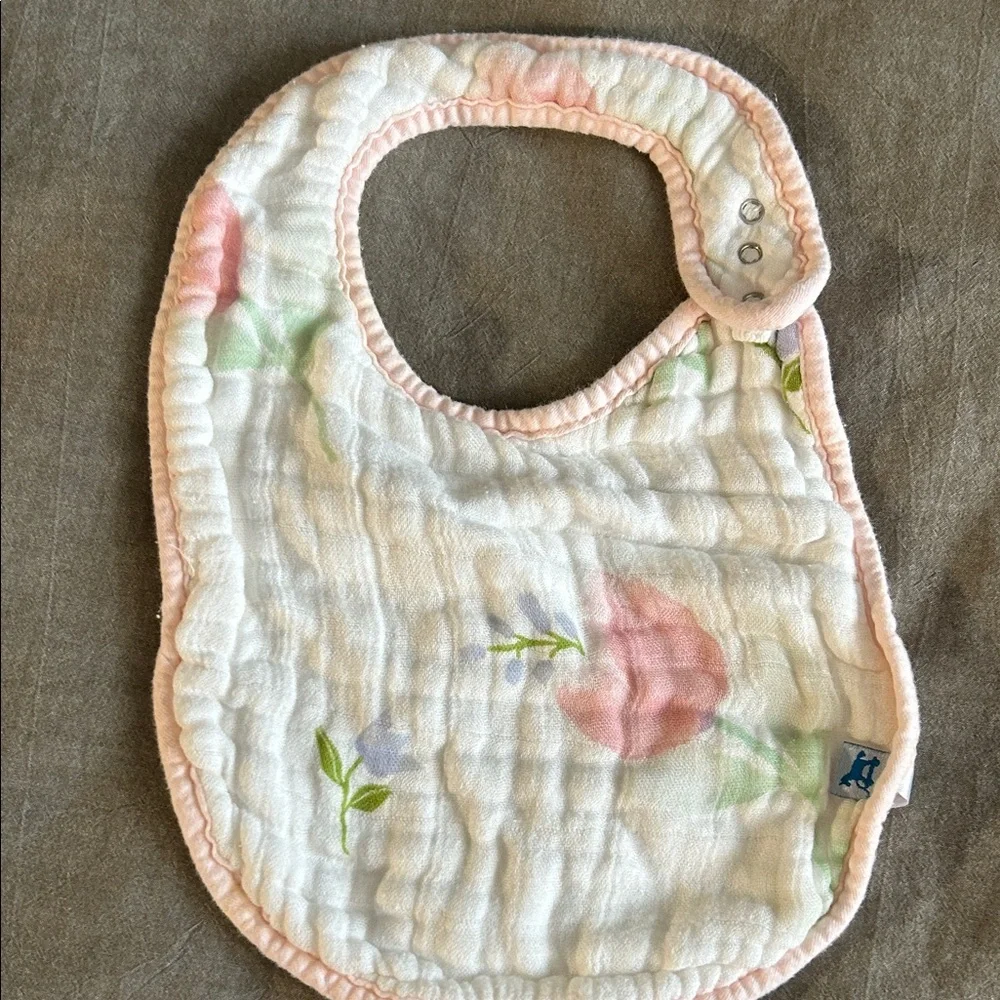 BIBS